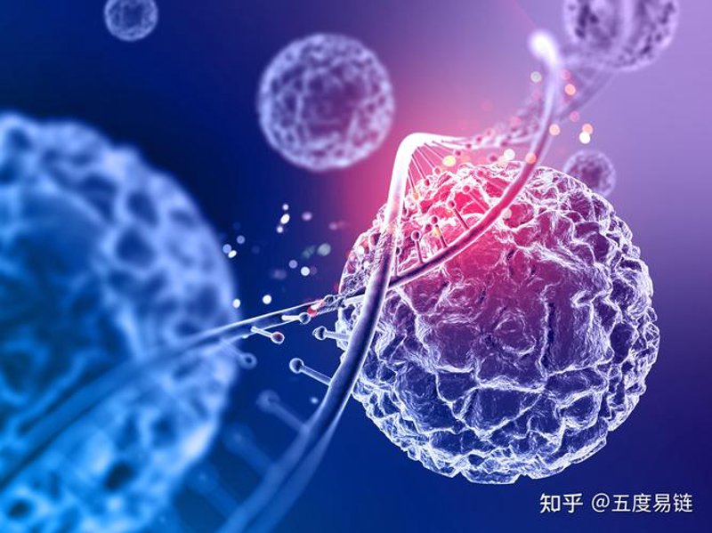 细胞治疗：未来医疗的希望